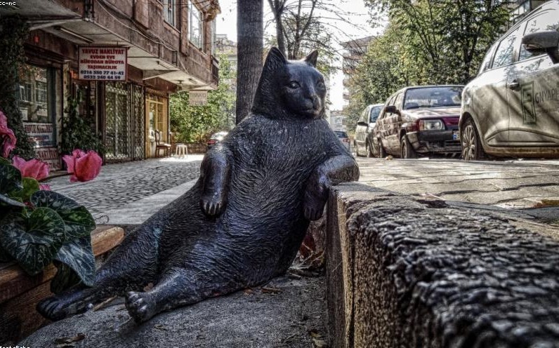 2026年春天，HR在裁员系统里按下了‘暂停键’——但没人告诉打工人：暂停不是赦免，是缓刑