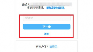 购买Instagram老号账号：风险与考量需谨慎