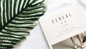 在哪能买到ins账号？一文带你了解购买渠道及注意事项