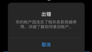 如何成功拿回ins账户？掌握这些方法，轻松搞定！