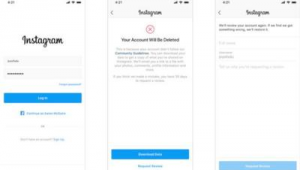 成功拿回 Instagram 账户，这些关键步骤你不能错过